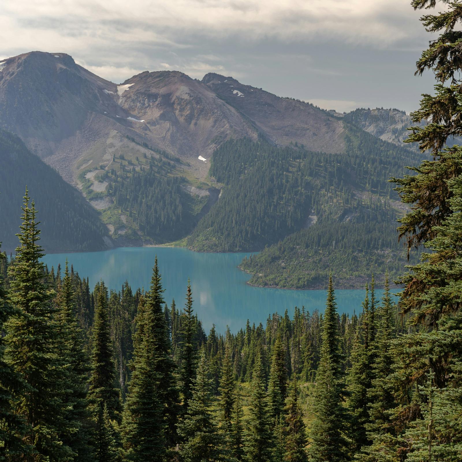 Mountain with lake and trees
